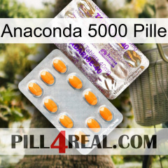 Anaconda 5000 Pill new12